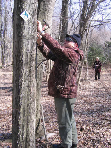 Peter Wood marks the way