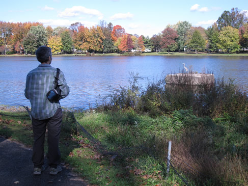 Observing a Great Bule Heron. Observing a Great Bule Heron.